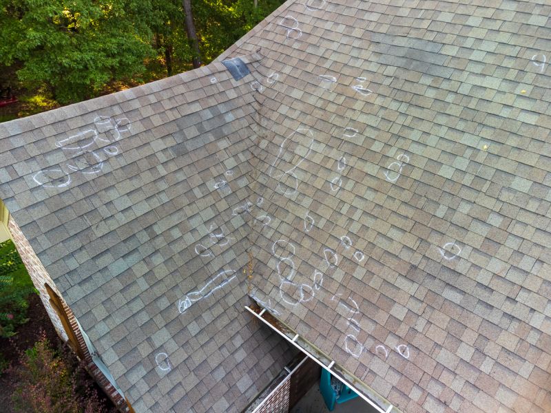 Asphalt Roof Inspection in Landenberg, PA