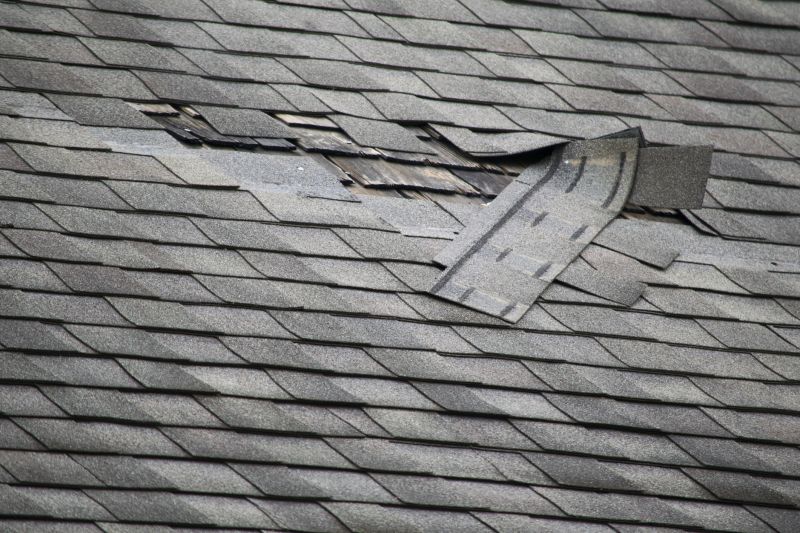 Asphalt Roof Leak Repair in New Castle County, DE