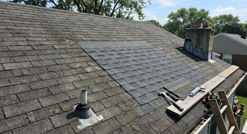 Asphalt Roof Repair in Wilmington, DE