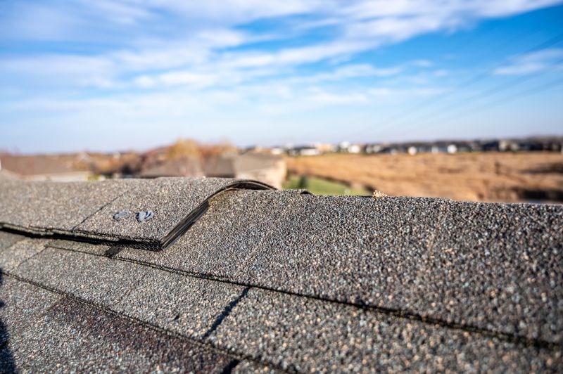 Damaged Roof Repair in Townsend, DE
