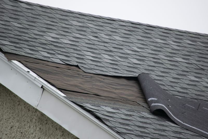 Garage Roof Repair in Cecil County, MD