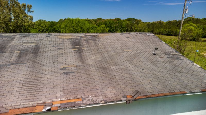 Hail Damage Roof Repair in Newark, DE