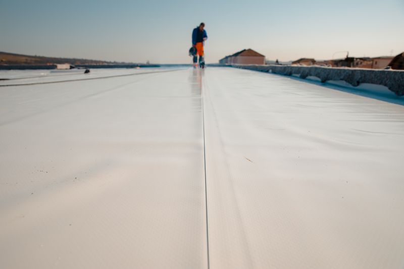Rubber Roof Repair in Odessa, DE